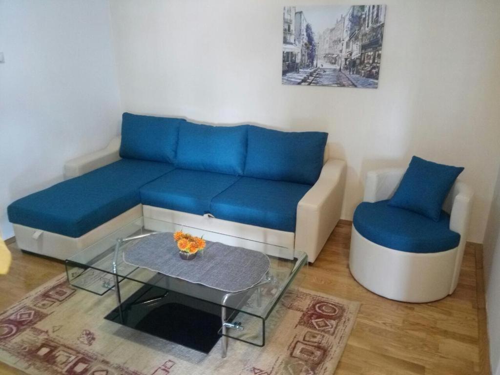 Petrovac Apartman Ozi מראה חיצוני תמונה